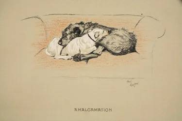 Amalgamation, 1930, 1. Ausgabe von 